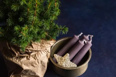 7 Advent Resources The Whole Family Will Love