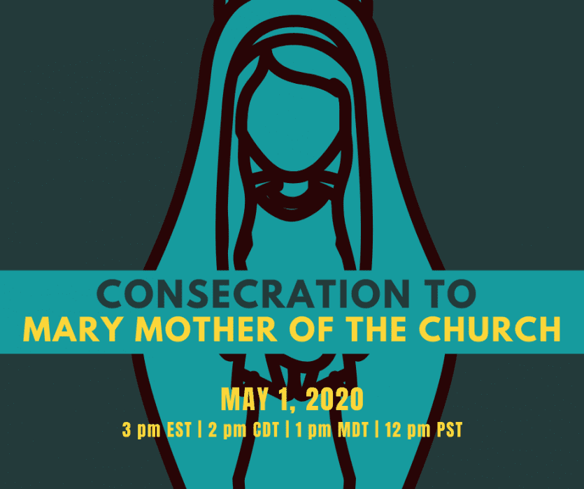 Consecration to Mary United States