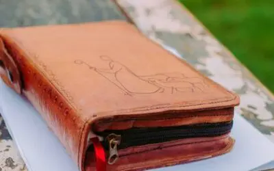 Do You Recognize The Voice Of The Good Shepherd?