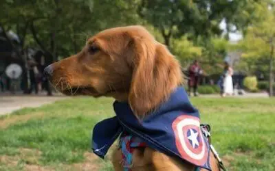 A Few Spiritual Lessons From Captain America