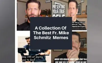 The Assignment: Create A Meme Of Fr. Mike Schmitz
