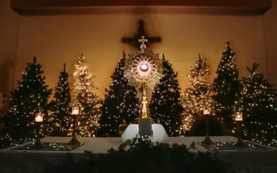 5 Ways To Grow In Devotion To The Eucharist This Christmas