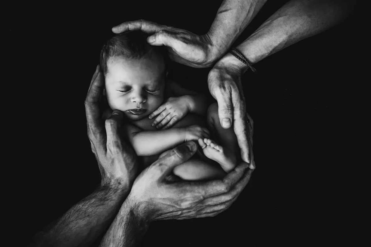 roe vs. wade why it will fall Catholic