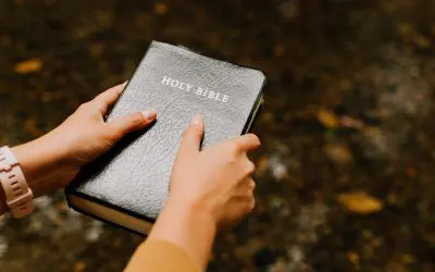 What Is The Universal Call To Holiness And Why Should You Care?