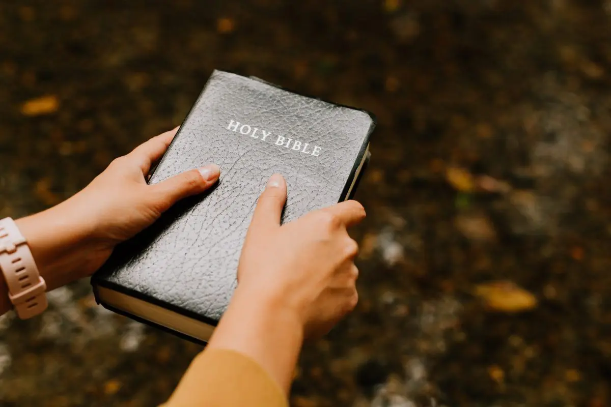 universal call to holiness catholic