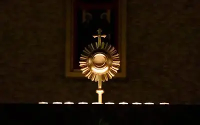 Four Steps For The Eucharistic Revival In The Catholic Church
