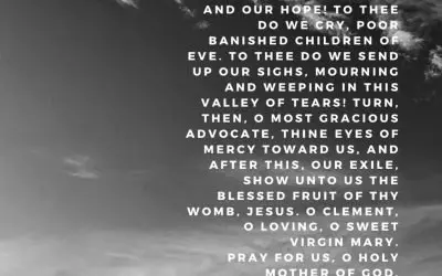 Hail Holy Queen Prayer