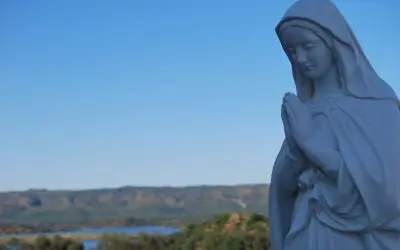 Why Was This Priest Known As “Our Lady’s Dolphin”?