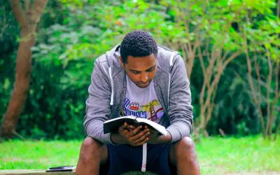 How Important Is The Catechism To The Catholic Church?