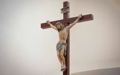 Accept Your Cross | St. John Vianney Quote
