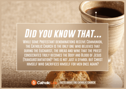 Interesting Facts About the Catholic Church That You Probably Don't Know