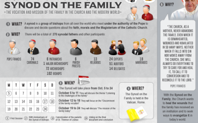 Infographic: 5 questions to understand the Synod on the Family
