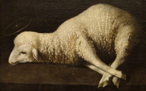 How to Free Yourself From the Desire to Control Everything (Gospel Reflection, Matthew 11:25)