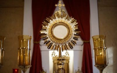 Have But One Eucharist | St. Ignatius of Antioch