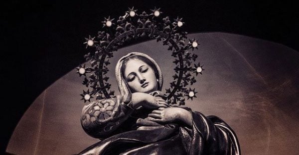 Are You Willing to be Wounded? The Paradox of Mary's Immaculate Love