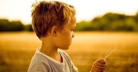 catholic prophet poor service Fr. Rob Adams