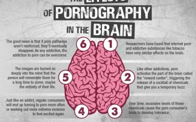 Infographic: The Effects Of Pornograhy In The Brain