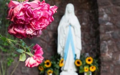 The Wonderful Flowers Of Jesus And Mary