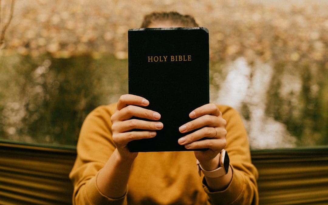 Striving For Holiness And “The Perfection of Imperfection”