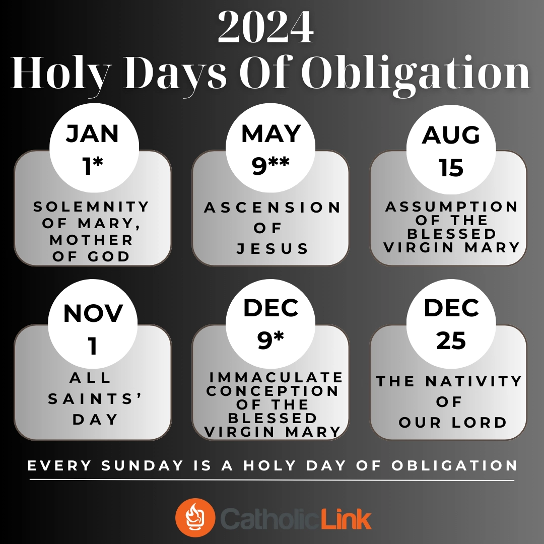 A Catholics Guide To Living 2024 Quotes Devotions Resources For A