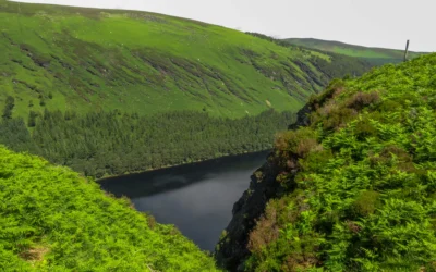 A Great Lake Of Beer For The King Of Kings | St. Brigid
