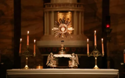 Why Make A Holy Hour? | St. Paul VI
