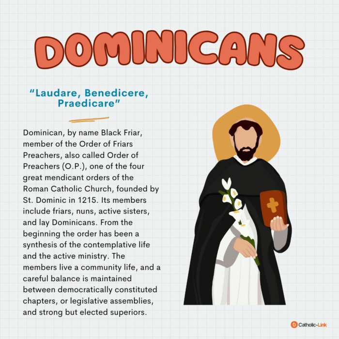 Franciscans Catholic Religious Orders Explained!