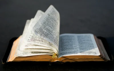 Heed To The Word Of God | St. Francis De Sales Quote