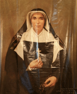 Saint Mother Theodore Guerin quotes