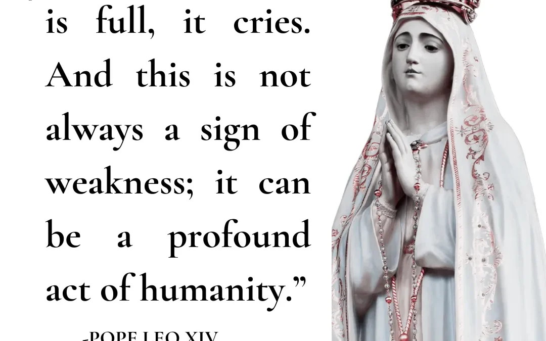 When The Heart Cries | Pope Leo XIV Quote
