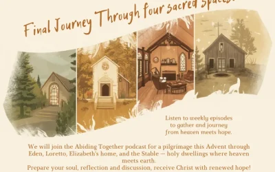 Catholic-Link Connect Advent Study