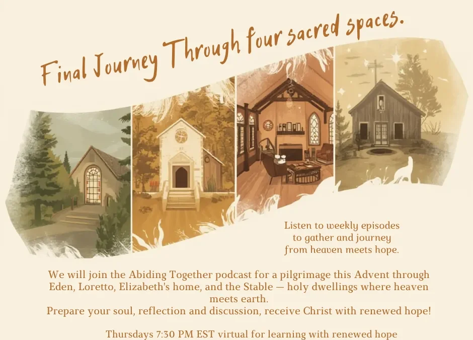 Catholic-Link Connect Advent Study