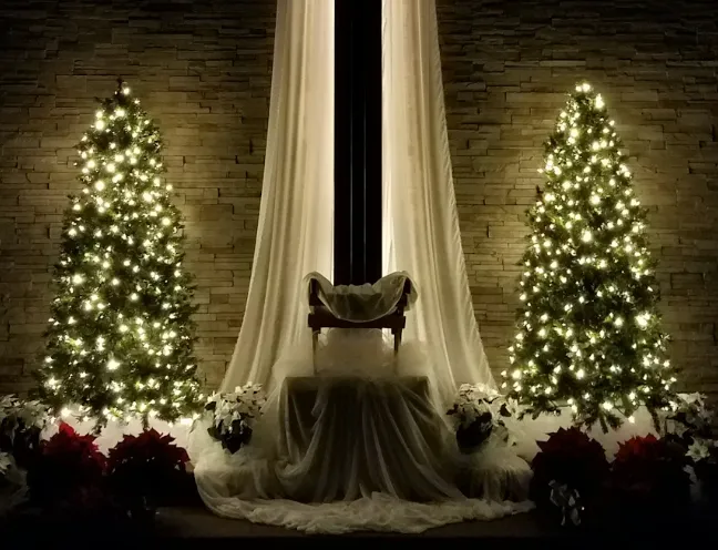 Never A Child So Wise | Christmas Quote St. Peter Canisus