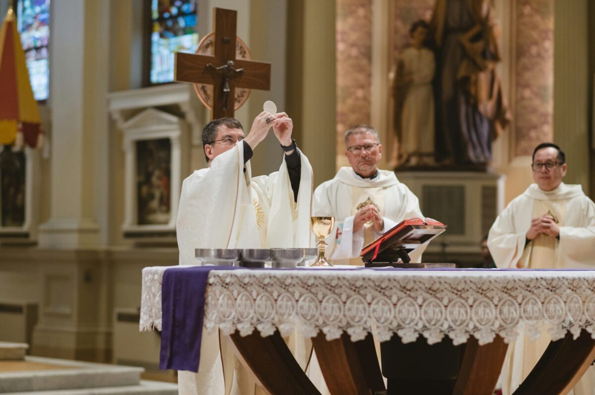 Is the Catholic Mass in the Bible? Here you will find some resources to help you understand where you can find the Mass in scripture