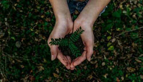 How should a Catholic live Earth Day? Find these resources to help you honor and uphold what God has created and gifted to us.