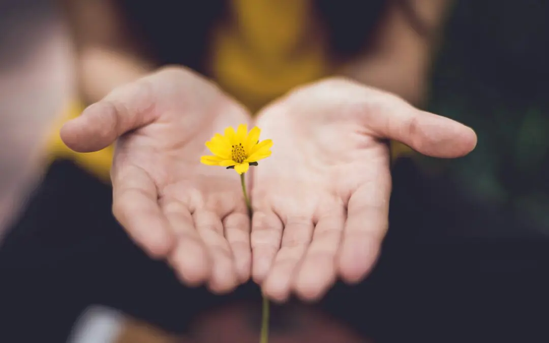 A Catholic Journey To Inner Healing