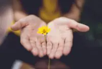 Inner healing is God’s gentle work of restoring peace to the wounded areas of our hearts, minds, and emotions. How can Catholics find it?
