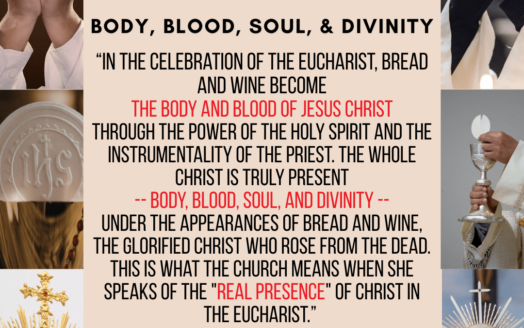 The Eucharist: Body, Blood, Soul, And Divinity