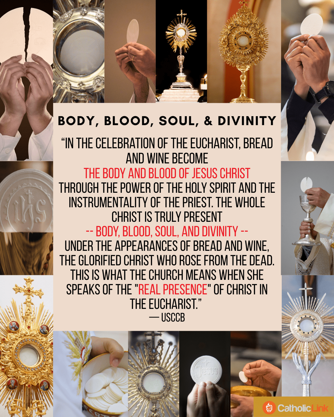 Eucharist: Christ, Science, and Reason: What We Can Know about Jesus, Mary, and Miracles by Fr. Spitzer Cardiologist Examines Jesus: The Stunning Science Behind Eucharistic Miracles 33 Days to Eucharistic Glory Heavenly Hosts: Eucharistic Miracles for Kids (Catholic Stories for Kids) The 7 Secrets of the Eucharist Jesus and the Jewish Roots of the Eucharist: Unlocking the Secrets of the Last Supper The Lamb's Supper: The Mass as Heaven on Earth The Divine Encounter: Meeting Jesus in Eucharistic Adoration
