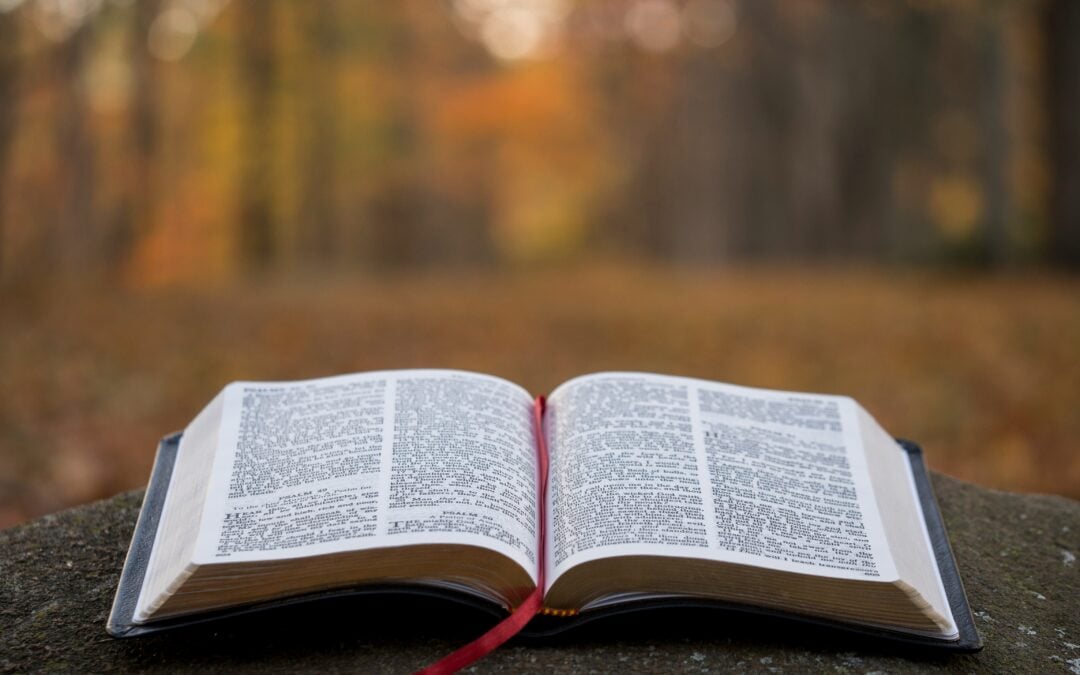 Gospel Reflection For The Fourteenth Sunday In Ordinary Time Year A