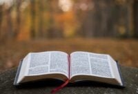 Are you meek and humble of heart? Here is your Gospel refelection for the 14th Sunday in ordinary time, year A.