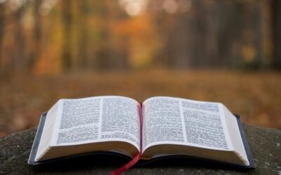 Gospel Reflection For The Fourteenth Sunday In Ordinary Time Year A
