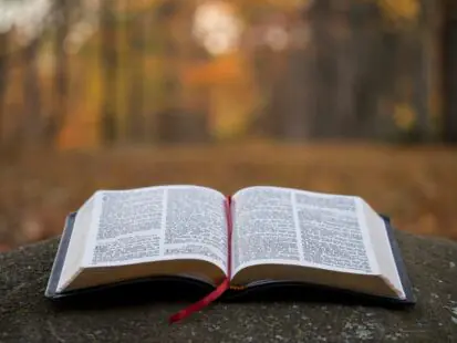 Are you meek and humble of heart? Here is your Gospel refelection for the 14th Sunday in ordinary time, year A.
