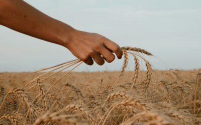All Are Called To Holiness | Gospel Reflection