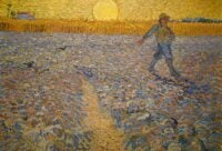 Looking for a Catholic Sunday Gospel reflection for the fifteenth Sunday in Ordinary time? You've found it!