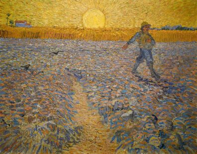 Looking for a Catholic Sunday Gospel reflection for the fifteenth Sunday in Ordinary time? You've found it!