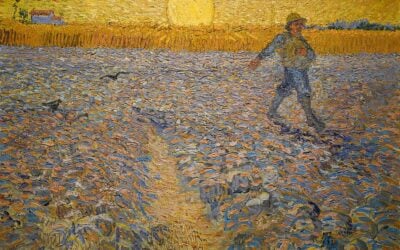 Gospel Reflection: Fifteenth Sunday In Ordinary Time, Year A