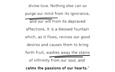 Prayer Brings Divine Light | St. Francis de Sales Quote