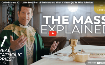Teaching Mass With Fr. Mike Schmitz