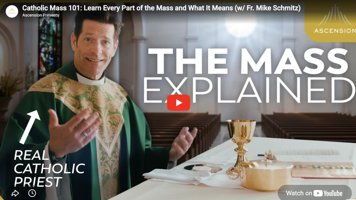 What is a teaching Mass? Learn the steps of a Catholic Mass from Fr. Mike Schmitz and open your eyes to the beauty of our greatest prayer.